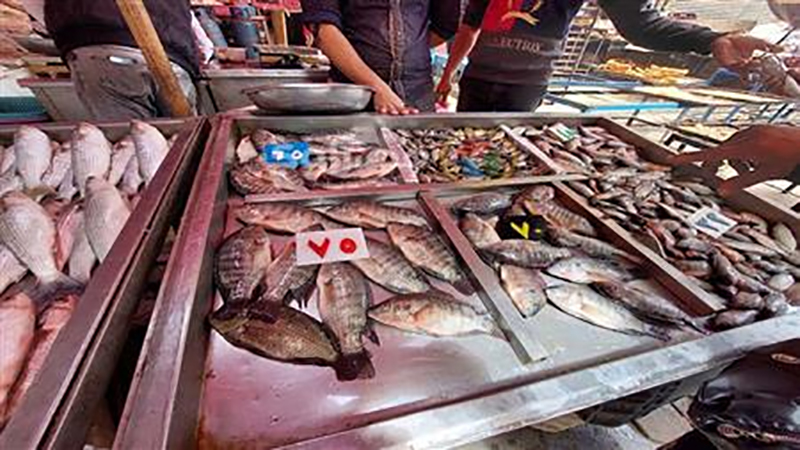أسعار الأسماك والمأكولات البحرية اليوم بالسوق المحلي