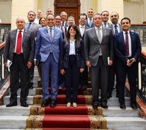 وزيرة التخطيط تكشف استثمارات قطاع الكهرباء خلال العام المالي المقبل