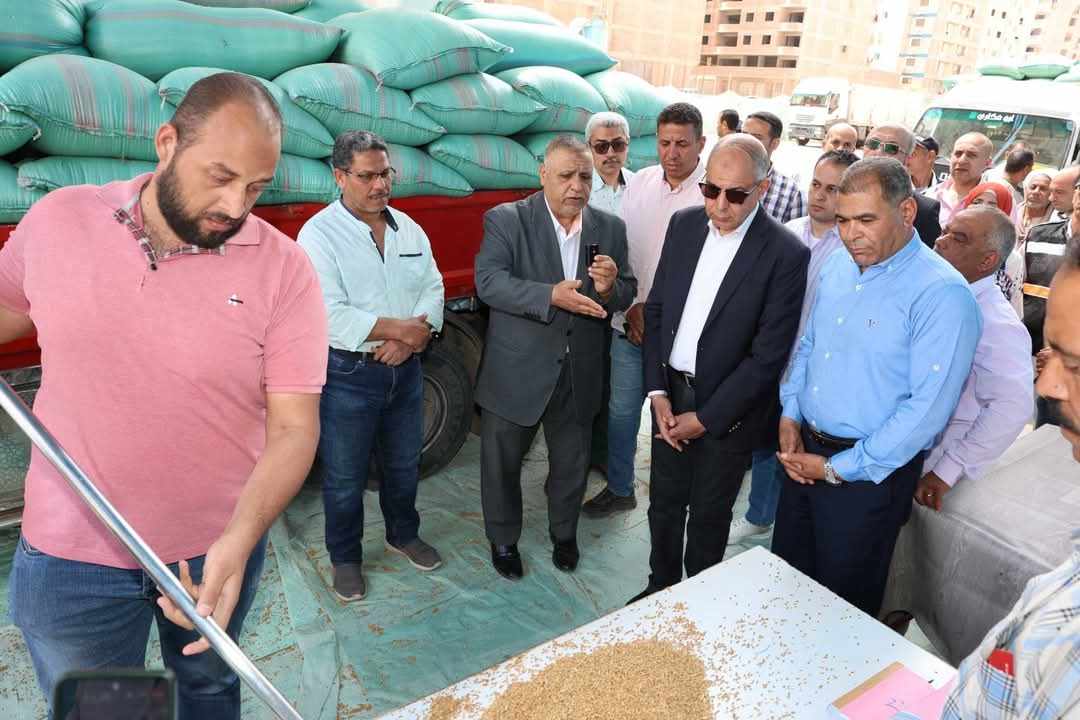 محافظ المنيا يتابع انتظام أعمال توريد محصول القمح لعام 2025