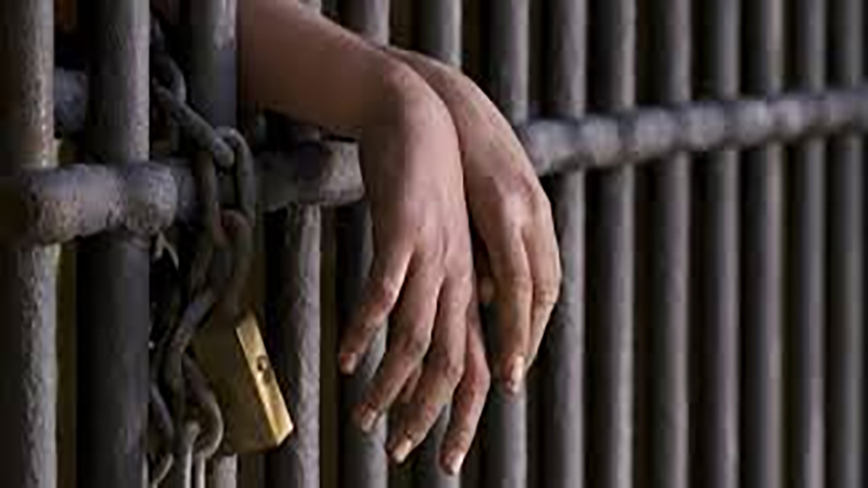 إحالة سائق بالنقل العام للمحاكمة التأديبية بتهمة سب راكبة من ذوى الاعاقة