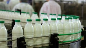 أسعار الألبان ومنتجاتها اليوم بالأسواق