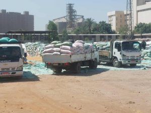 استمرار توافد المزارعين على صوامع المحافظة وتوريد 56 ألف طن قمح