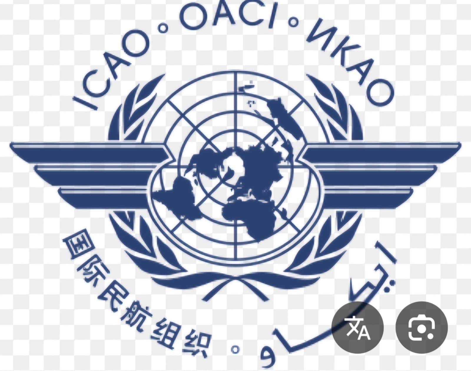 الجامعات تدعم خطة منظمة الطيران المدني الدولي للقوى العاملة من الجيل القادم