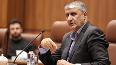 إيران: لا توقف في النشاط النووي رغم الهجمات الخارجية