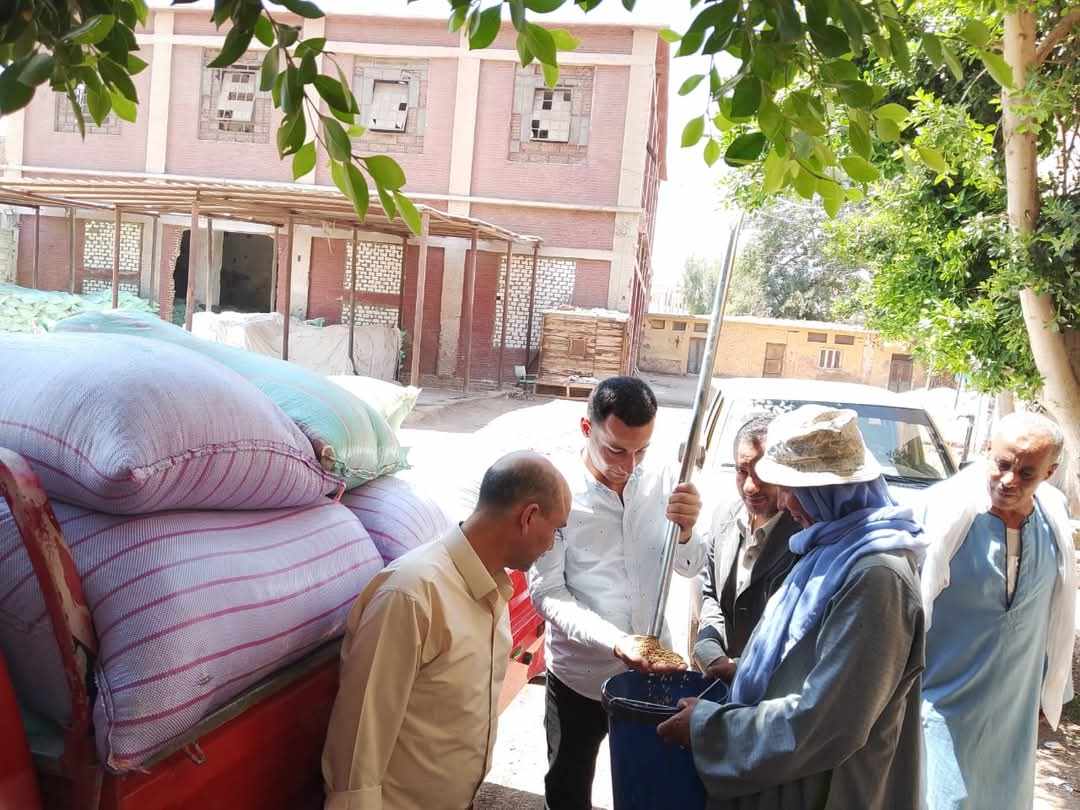 محافظ المنيا: توريد أكثر من 504 آلاف طن قمح منذ بدء موسم 2025