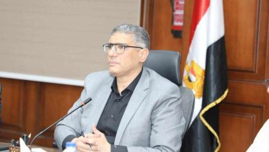 المهندس عادل النجار