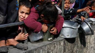 الصحة العالمية: سوء التغذية يدفع 112 طفلًا بغزة للمستشفيات يوميًا