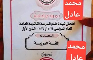 غش الإلكتروني
