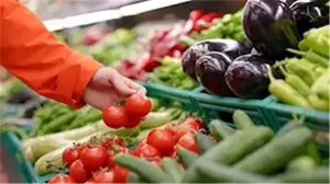 استقرار أسعار الخضروات والفاكهة بالأسواق اليوم الخميس