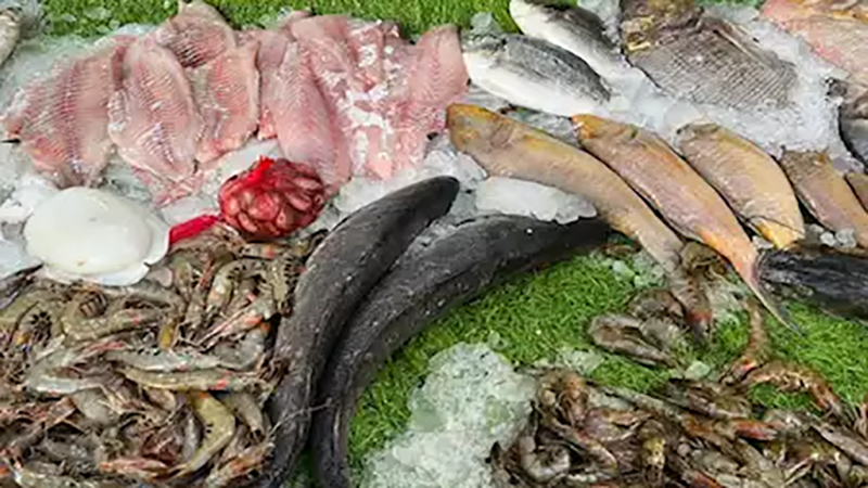 تراجع أسعار الاسماك والمأكولات البحرية اليوم