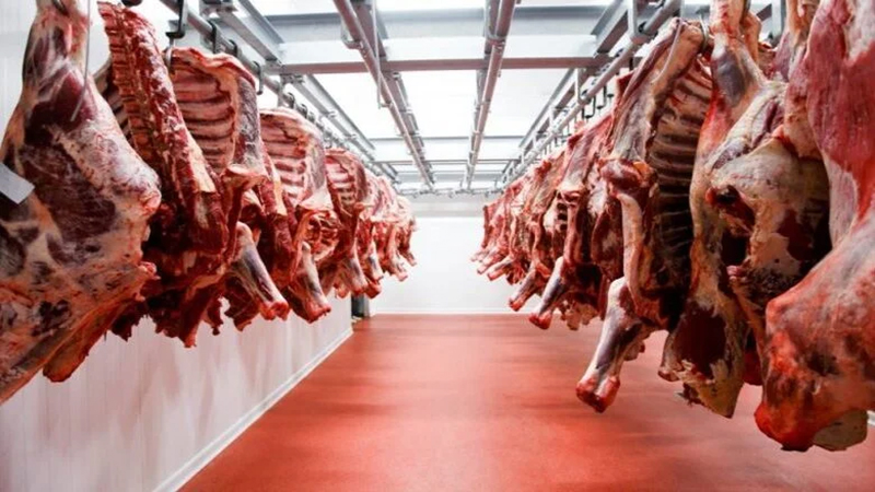أسعار اللحوم الحمراء اليوم الأربعاء