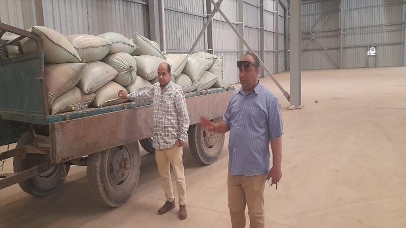 محافظ المنيا: استمرار أعمال توريد القمح بتوريد 511 ألف طن منذ بدء موسم 2025