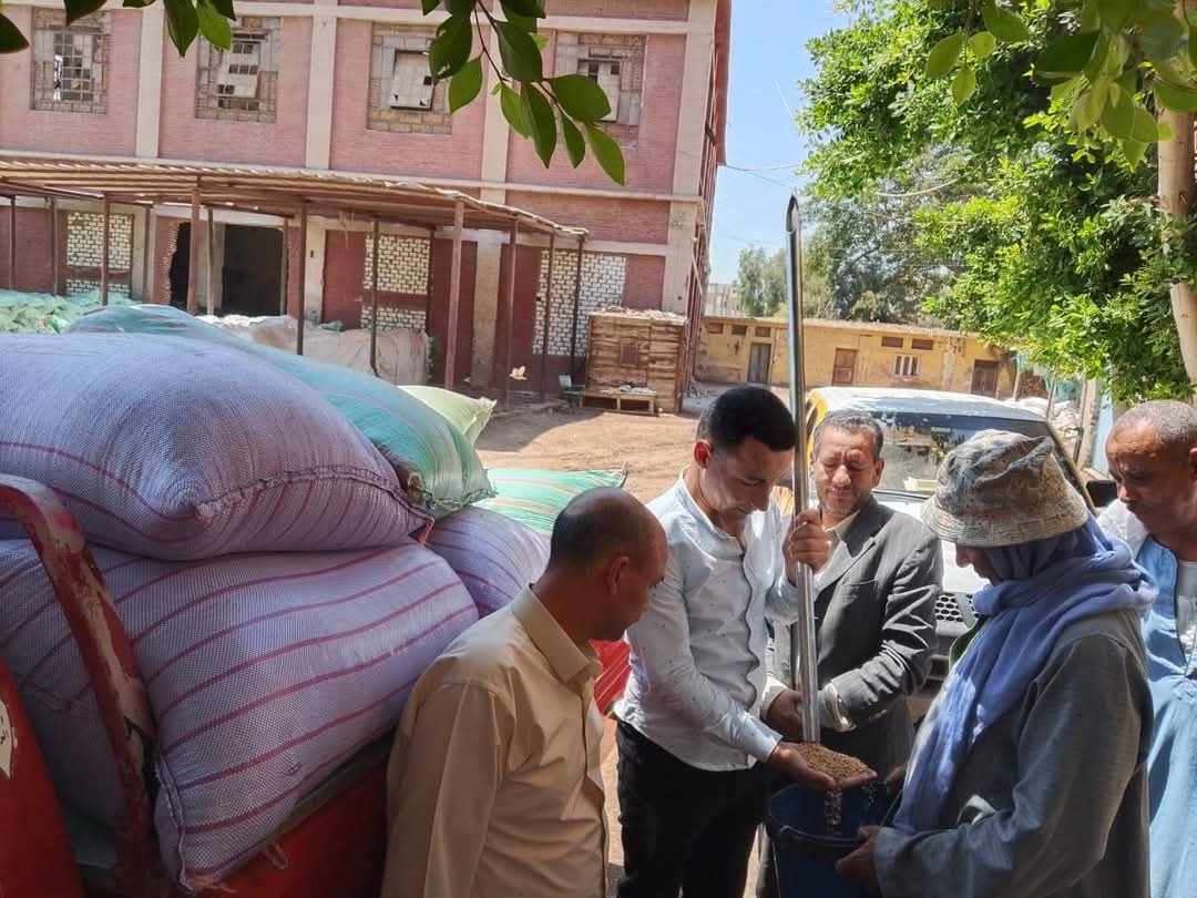 عام توريد استثنائي.. المنيا تتخطى المستهدف من محصول القمح بنسبة 131%