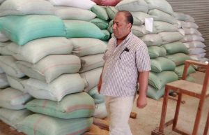 محافظ المنيا: استمرار أعمال توريد القمح بتوريد 507 آلاف طن قمح منذ بدء موسم 2025