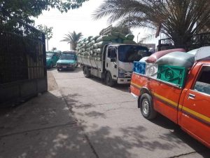 محافظ المنيا: توريد 502 ألف طن من محصول القمح الاستراتيجي