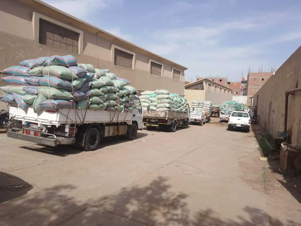 محافظ المنيا: استمرار أعمال توريد القمح بتوريد 510 آلاف طن منذ بدء موسم 2025