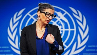 مقررة أممية: غزة تشهد "إبادة جماعية" وشركات تربح من الدمار
