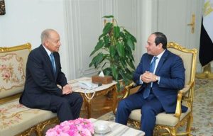 السيسي وأبو الغيط يبحثان الأزمات العربية والقضية الفلسطينية