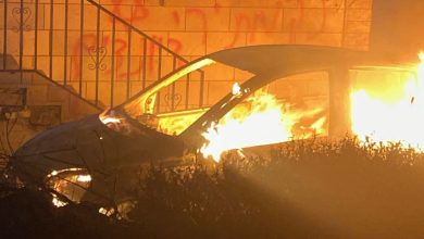 فلسطين تطالب بوقف «إرهاب المستوطنين» وتدعوا لتدخل دولي عاجل