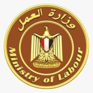 جولة تفقدية لوفد من “القومي لذوي الإعاقة” داخل مركزي التدريب المهني ببولاق الدكرور والشرابية