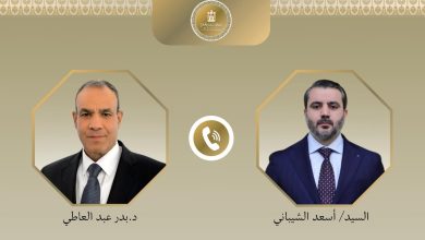 مصر تؤكد دعمها لوحدة واستقرار سوريا في اتصال وزاري