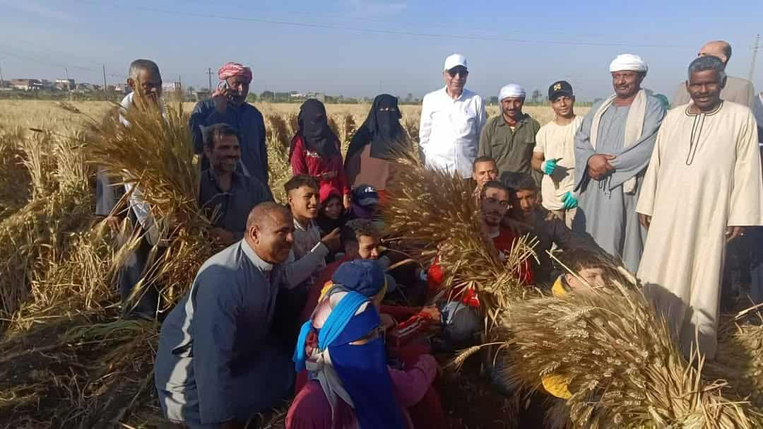 المنيا تقود نهضة زراعية شاملة: استخراج 438 ألف كارت فلاح وتوزيع 95 ألف طن أسمدة