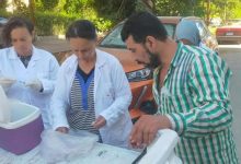 تعقيم الكلاب الضالة