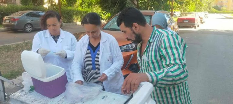 تعقيم الكلاب الضالة