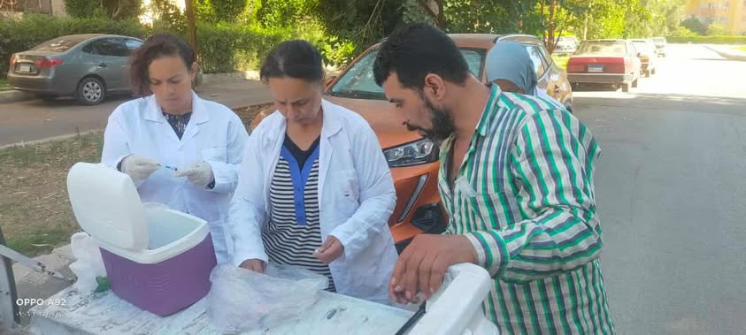 الجيزة: تجهيز شلتر إمبابة لإطلاق برنامج تعقيم الكلاب الضالة