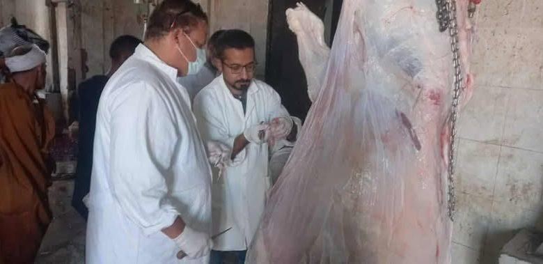 الطب البيطري فى أسيوط