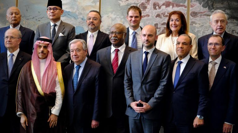 وزير الخارجية المصري يدعو لإنهاء الاحتلال وتطبيق حل الدولتين