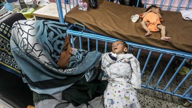 الأونروا تحذر: وفيات جماعية تضرب غزة