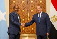 السيسي ونظيره الصومالي يؤكدان تعزيز استقرار القرن الأفريقي والبحر الأحمر