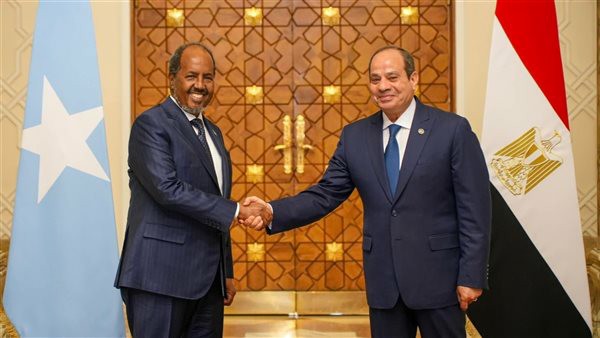 السيسي ونظيره الصومالي يؤكدان تعزيز استقرار القرن الأفريقي والبحر الأحمر