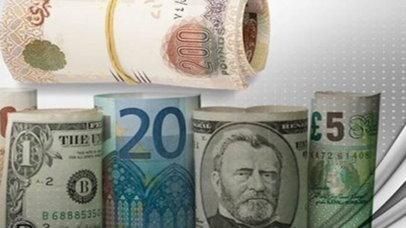 أسعار العملات في مصر اليوم الأحد