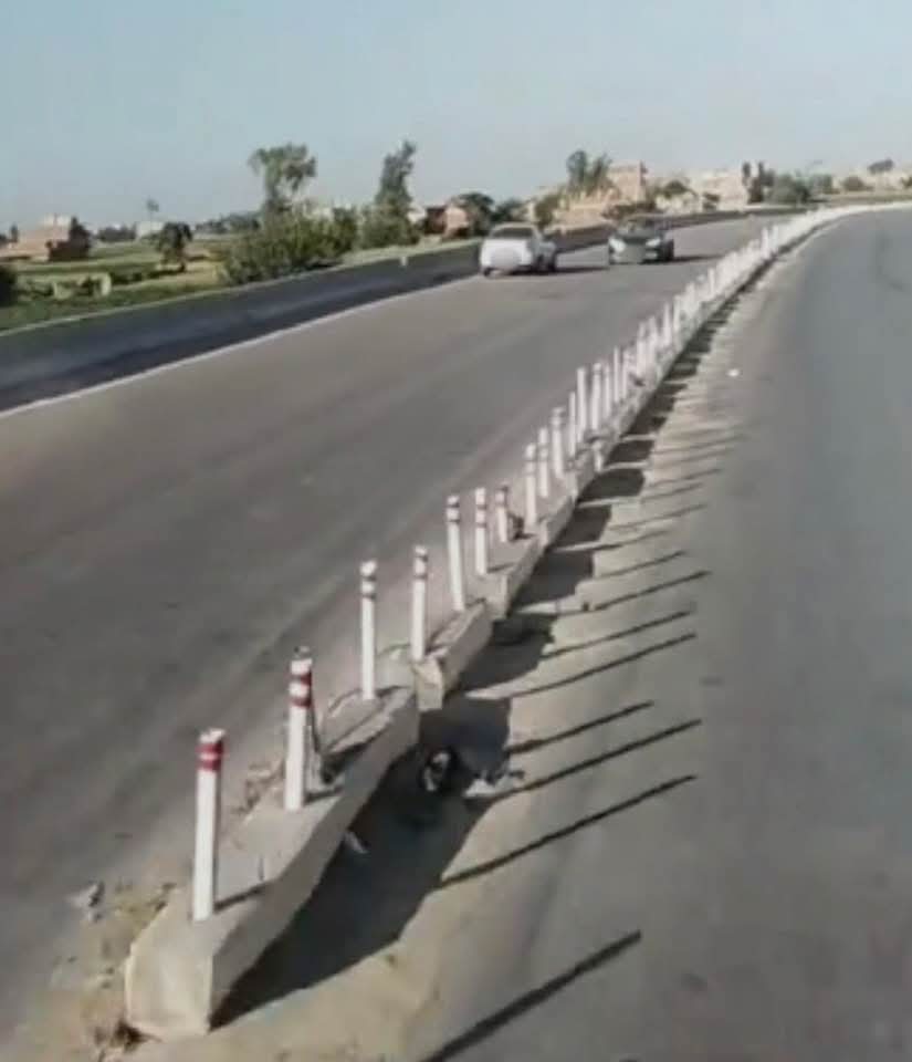 القبض على قائد سيارة ملاكي لسيره عكس الإتجاه أعلى الطريق الإقليمى بالمنوفية