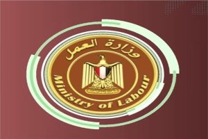 براتب 8000 جنيه.. وزارة العمل تعلن عن 300 وظيفة جديدة