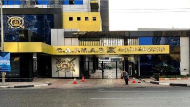 الإحصاء