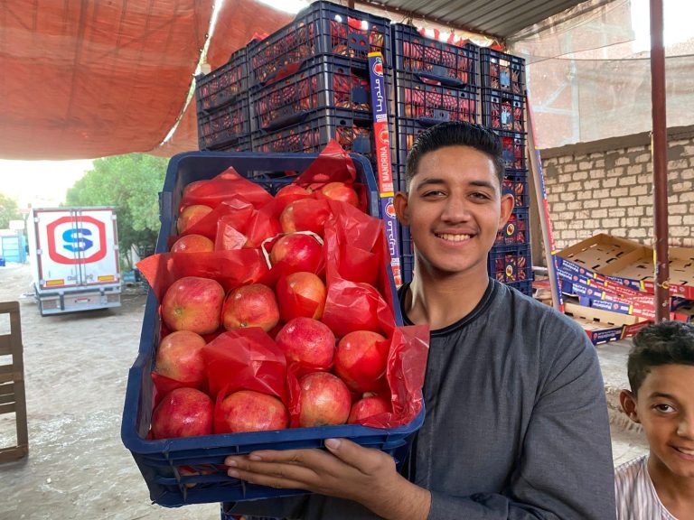 مصنع الرمان بالبدارى