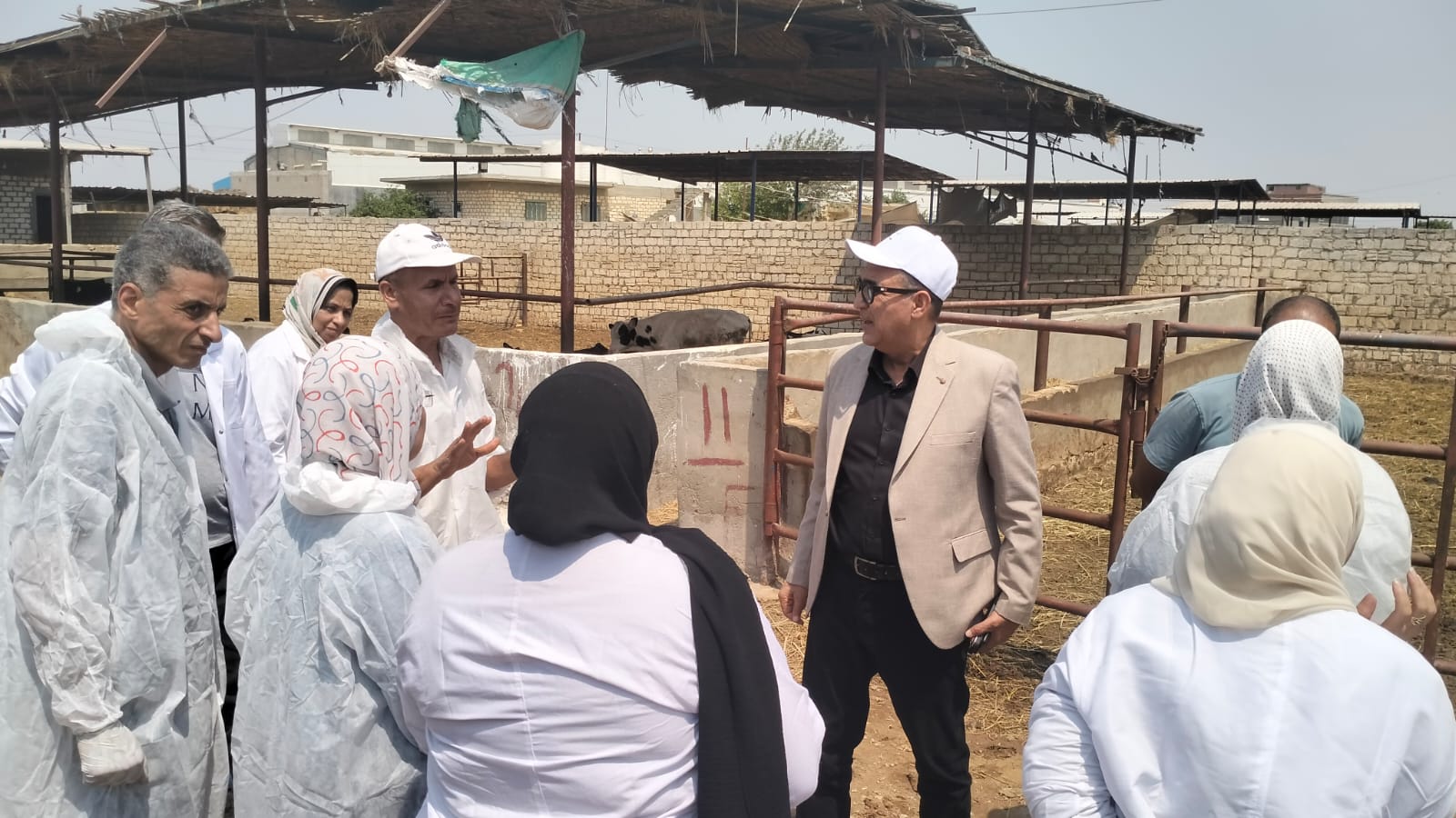 الزراعة تكشف تفاصيل قصة نجاح الوزارة في حماية الثروة الحيوانية من العترة الجديدة لفيروس الحمي القلاعية