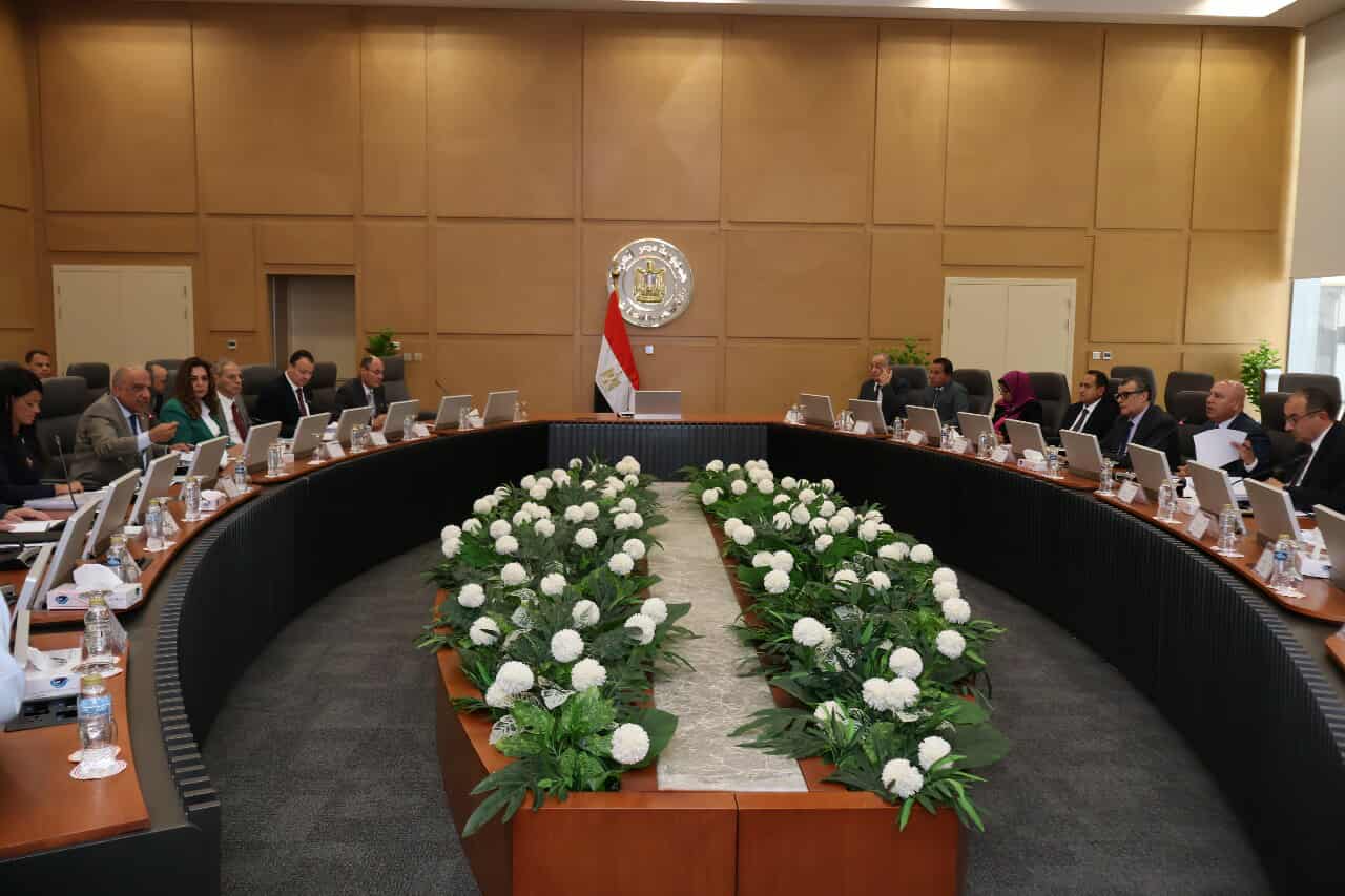 “الأعلى للطاقة” يناقش توفير “الطاقة” اللازمة ورفع القدرة لعدد 14 مشروعًا صناعيًا
