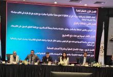غادة نور، مساعد وزير الاستثمار والتجارة الخارجية
