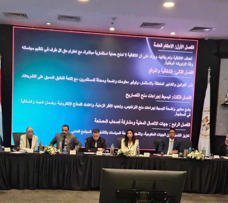 غادة نور، مساعد وزير الاستثمار والتجارة الخارجية