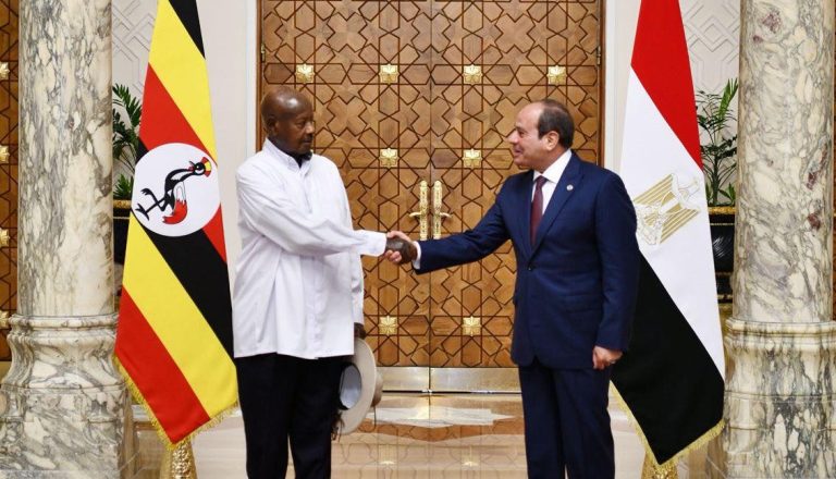 السيسي يؤكد على التعاون المشترك ورفض الإجراءات الأحادية في ملف النيل