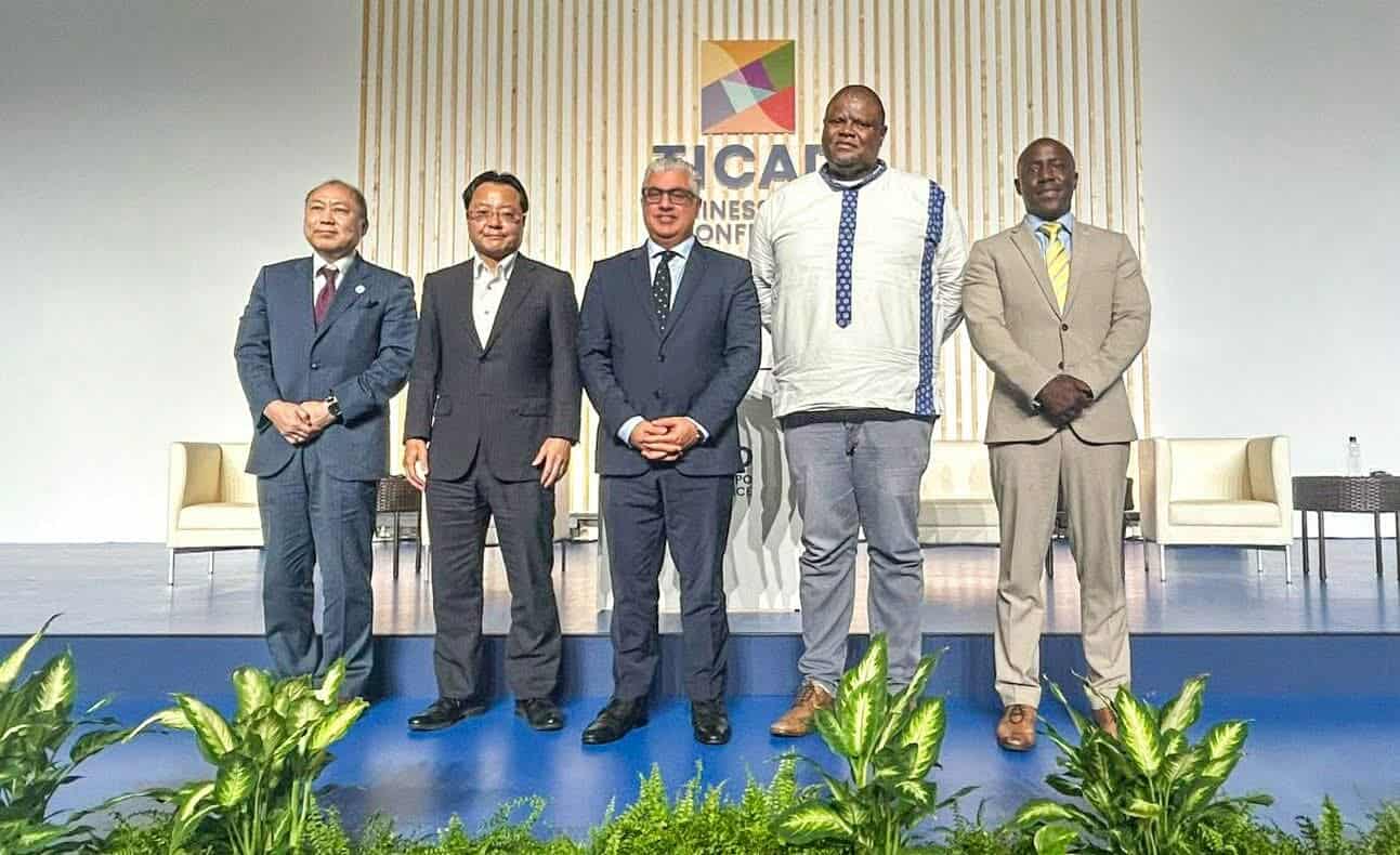 مصر تطرح تجربتها في البنية التحتية والطاقة المتجددة أمام أفريقيا واليابان