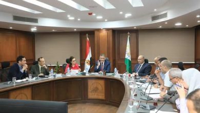 محافظ الجيزة