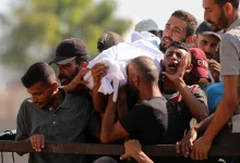 الصحة الفلسطينية بغزة: 100 شهيد و603 إصابات خلال 24 ساعة