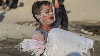 الحكومة الألمانية تعرب عن قلقها بشأن المساعدات في غزة