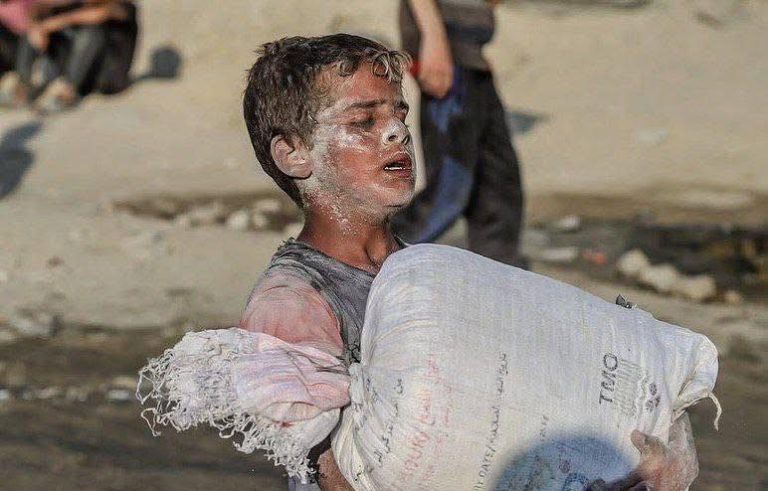 الحكومة الألمانية تعرب عن قلقها بشأن المساعدات في غزة