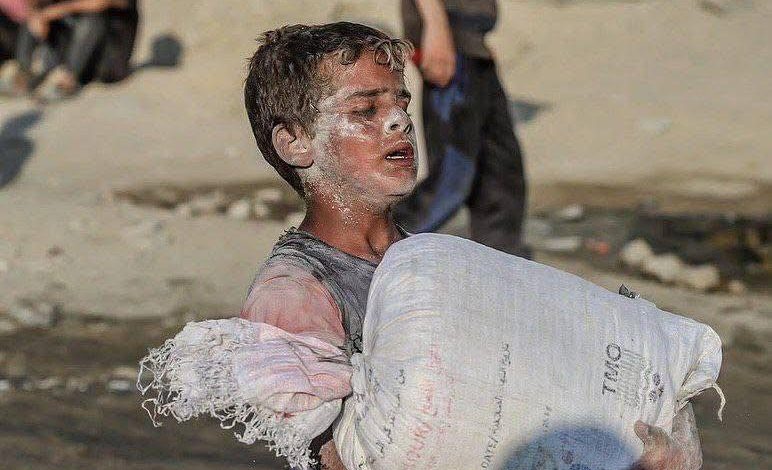 الحكومة الألمانية تعرب عن قلقها بشأن المساعدات في غزة